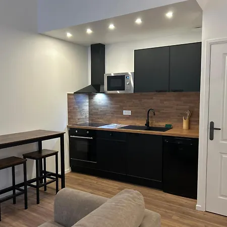 Daire Cozy Centre Coupole Arenes