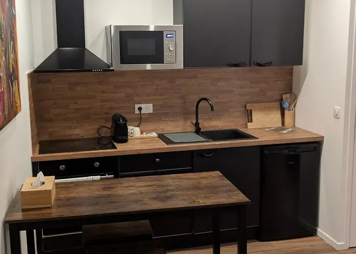 Cozy Centre Coupole Arenes *